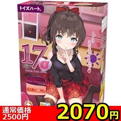 【2070円★数量限定】セブンティーン α(アルファ)<お一人様1点限り>(お買い得)