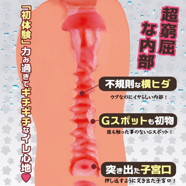 【1340円★数量限定】純潔のミツツボ (ハード)<お一人様1点限り>