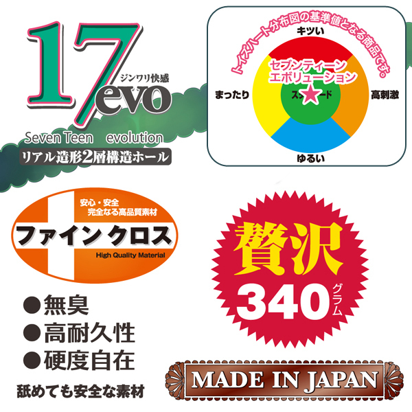 17evo(セブンティーン エボリューション)