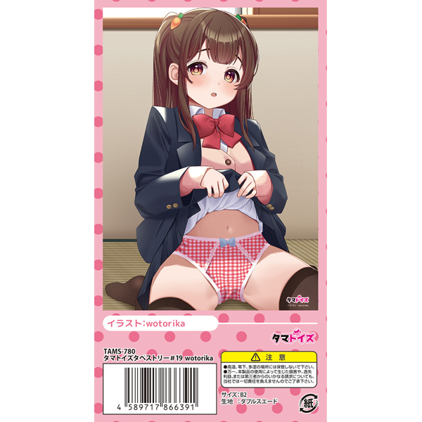 タマトイズタペストリー 19 (イラスト:wotorika)