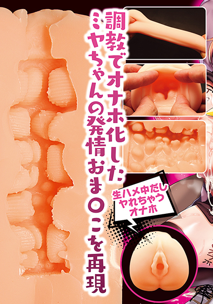 ミヤちゃん1年調教 THE HOLE