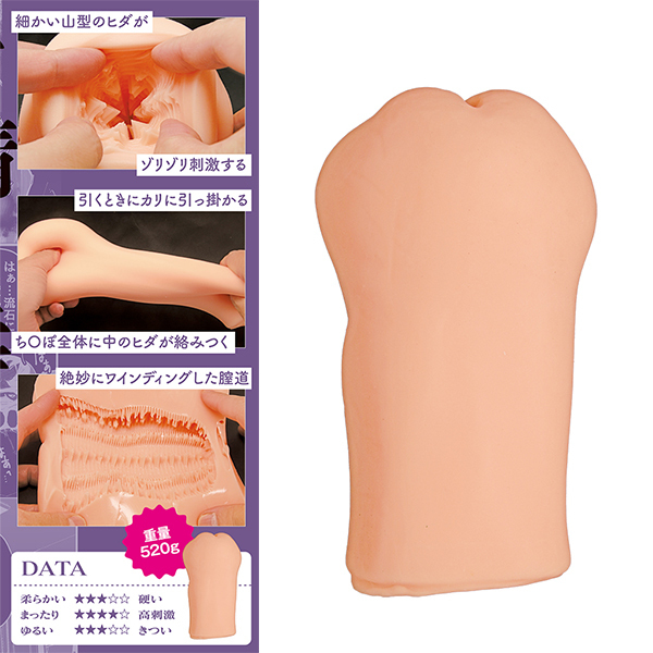 お姉ちゃんは射精中毒 THE HOLE