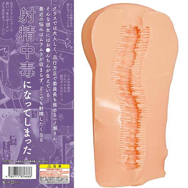 お姉ちゃんは射精中毒 THE HOLE