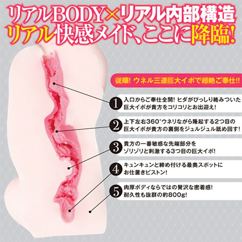 Alternative view of 僕だけのご奉仕エロメイド