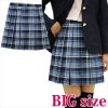 チェック柄プリーツスカート　ＢＩＧ